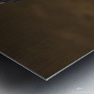 Green Heron - Flushed and Fabulous Impression metal