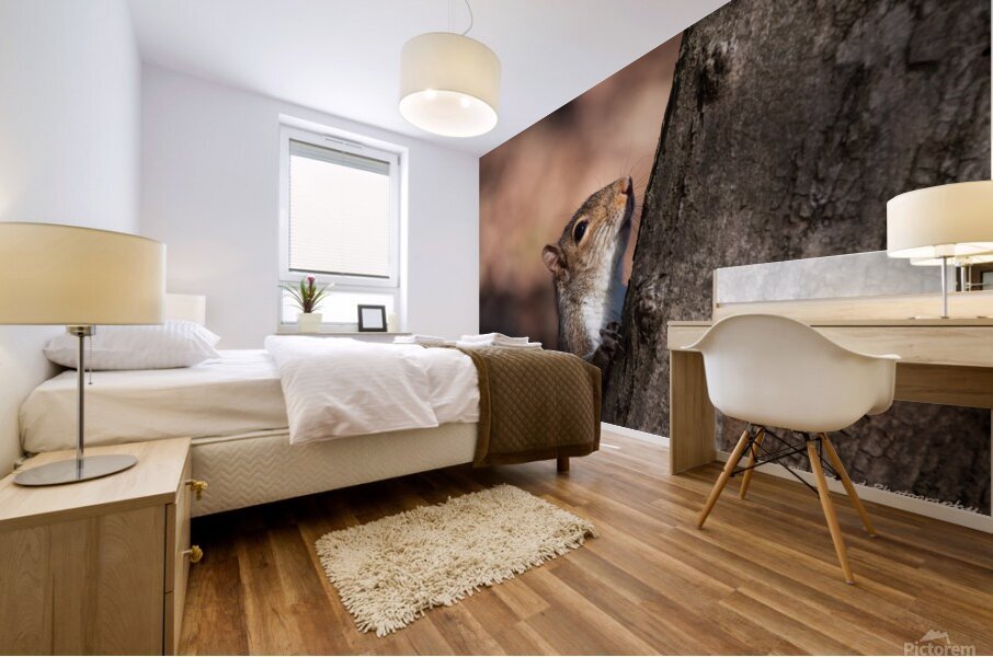 Squirrel in the Sunlight Mural print