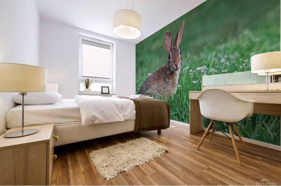Backyard Bunny - Spring Days Mural print
