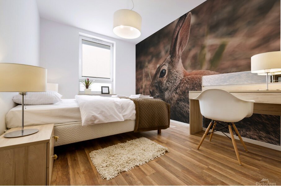 Eastern Cottontail - Backyard Close-Up Mural print