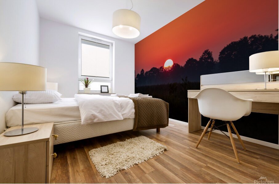 Sunrise at Pungo Mural print
