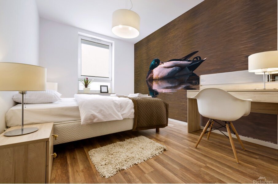 Sleeping Mallard - Solitude Mural print