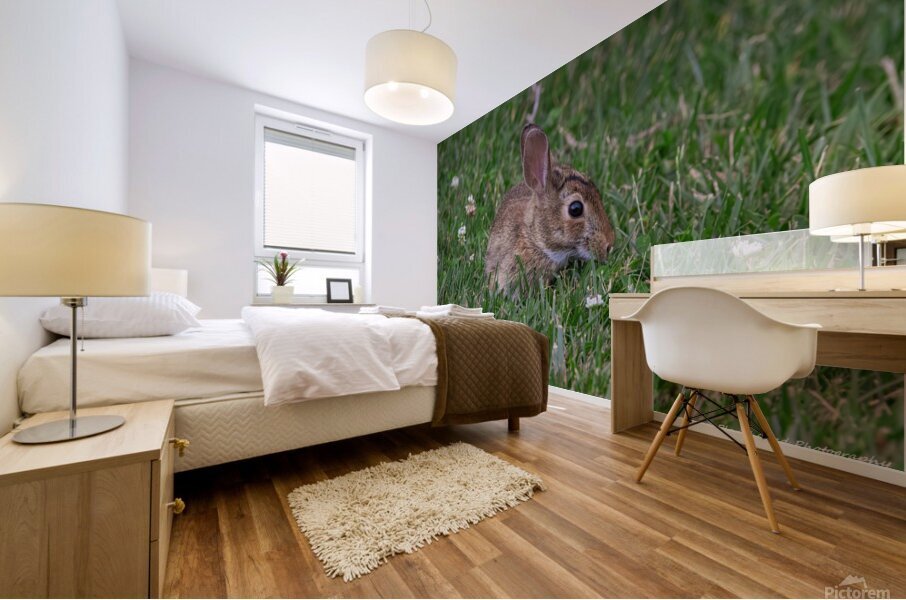 Backyard Bunny - Springtime Mural print