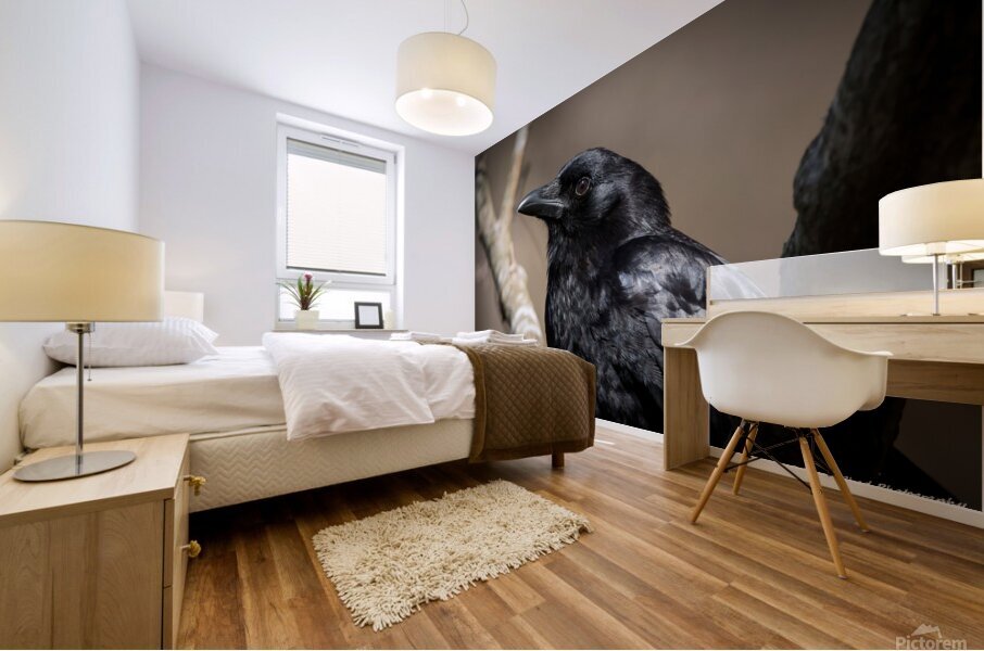  American Crow - Portrait Mural print