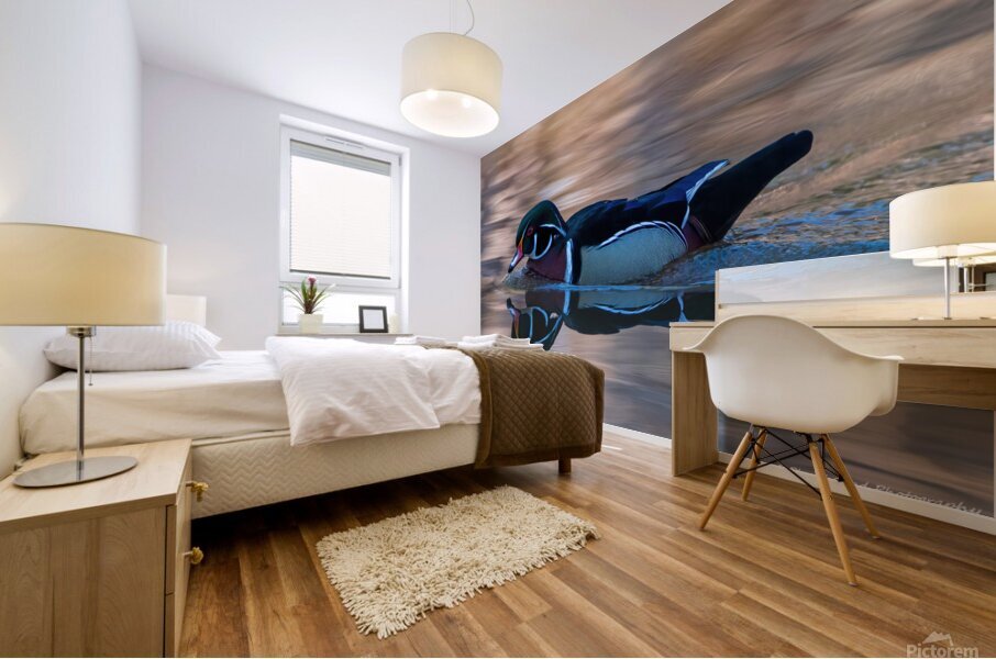 Reflections of a Wood Duck Mural print