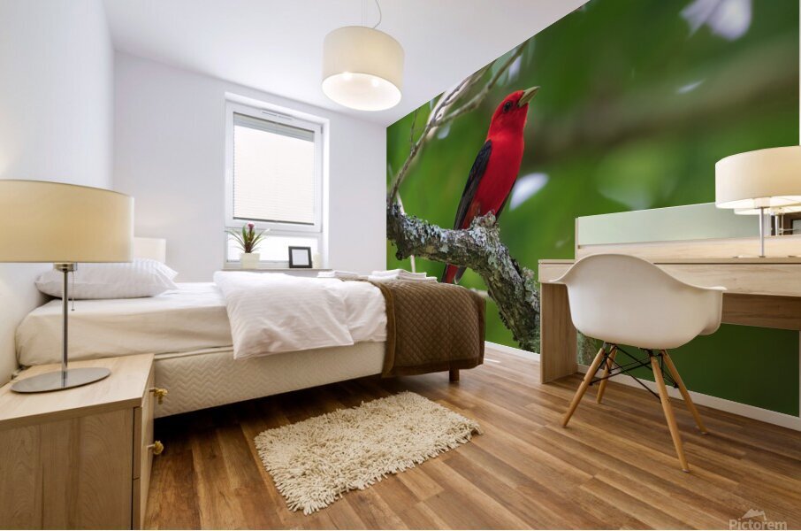Scarlet Tanager Mural print