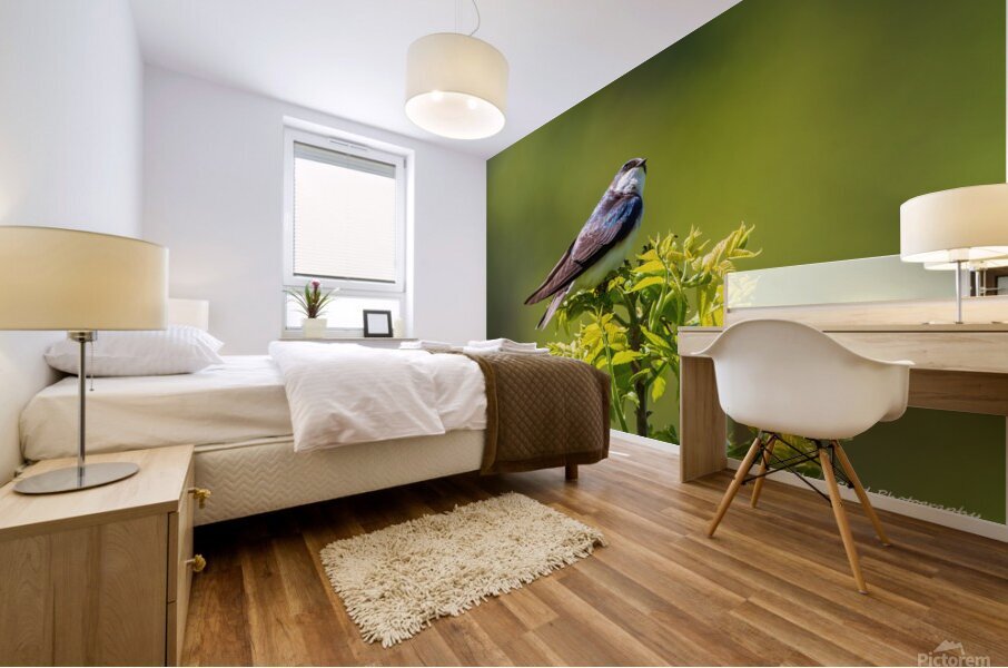 Tree Swallow - Looking Up Mural print