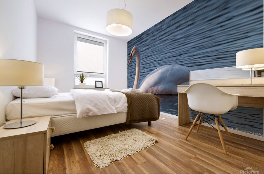 Swan Lake Mural print