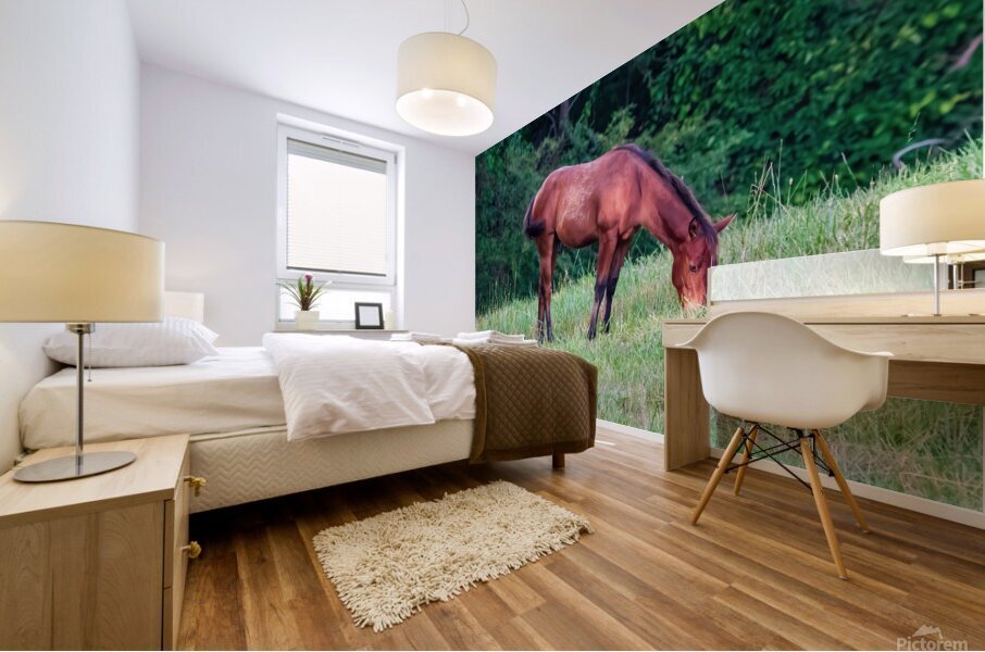 Grazing Horse Mural print