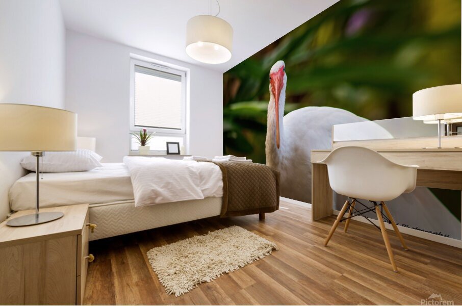 The Happy Ibis Mural print