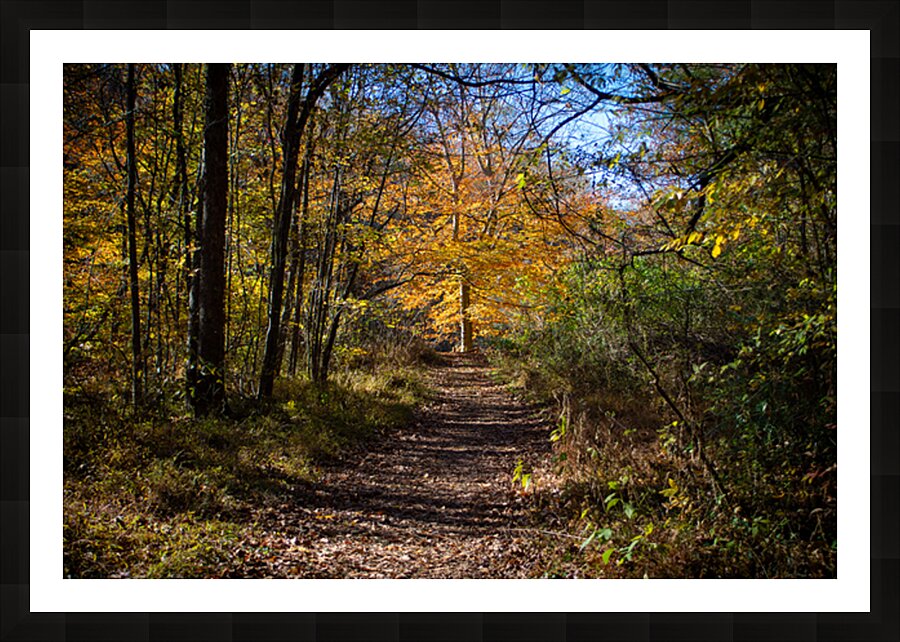  Fine Art print