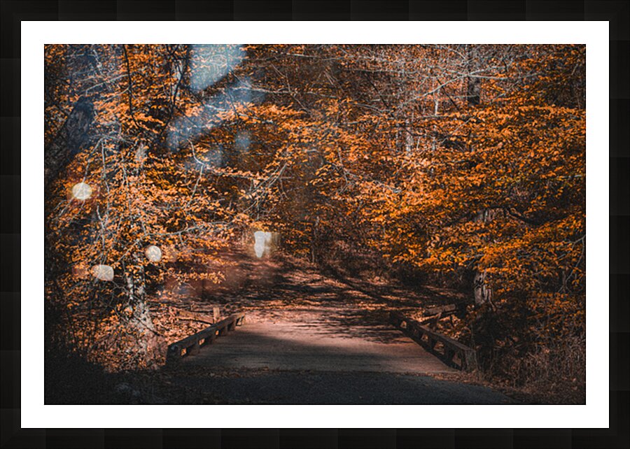  Fine Art print