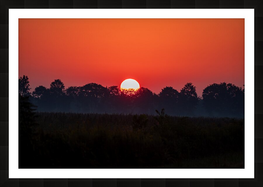  Fine Art print