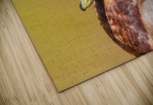 Mallard Portrait Chad Meyer puzzle