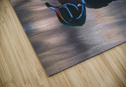 Reflections of a Wood Duck Chad Meyer puzzle