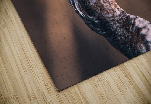Muscovy Model Chad Meyer puzzle