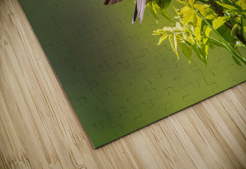 Tree Swallow - Looking Up Chad Meyer puzzle