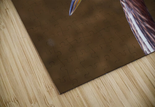 Green Heron - Flushed and Fabulous Chad Meyer puzzle