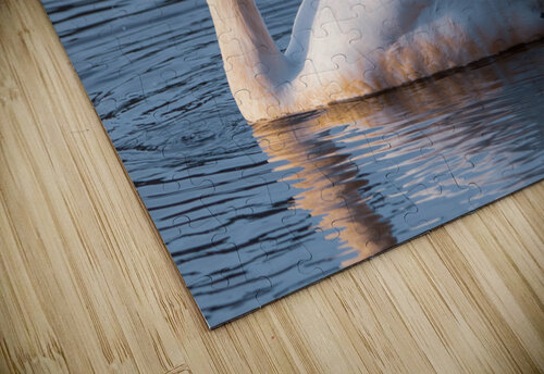 Swan Lake Chad Meyer puzzle