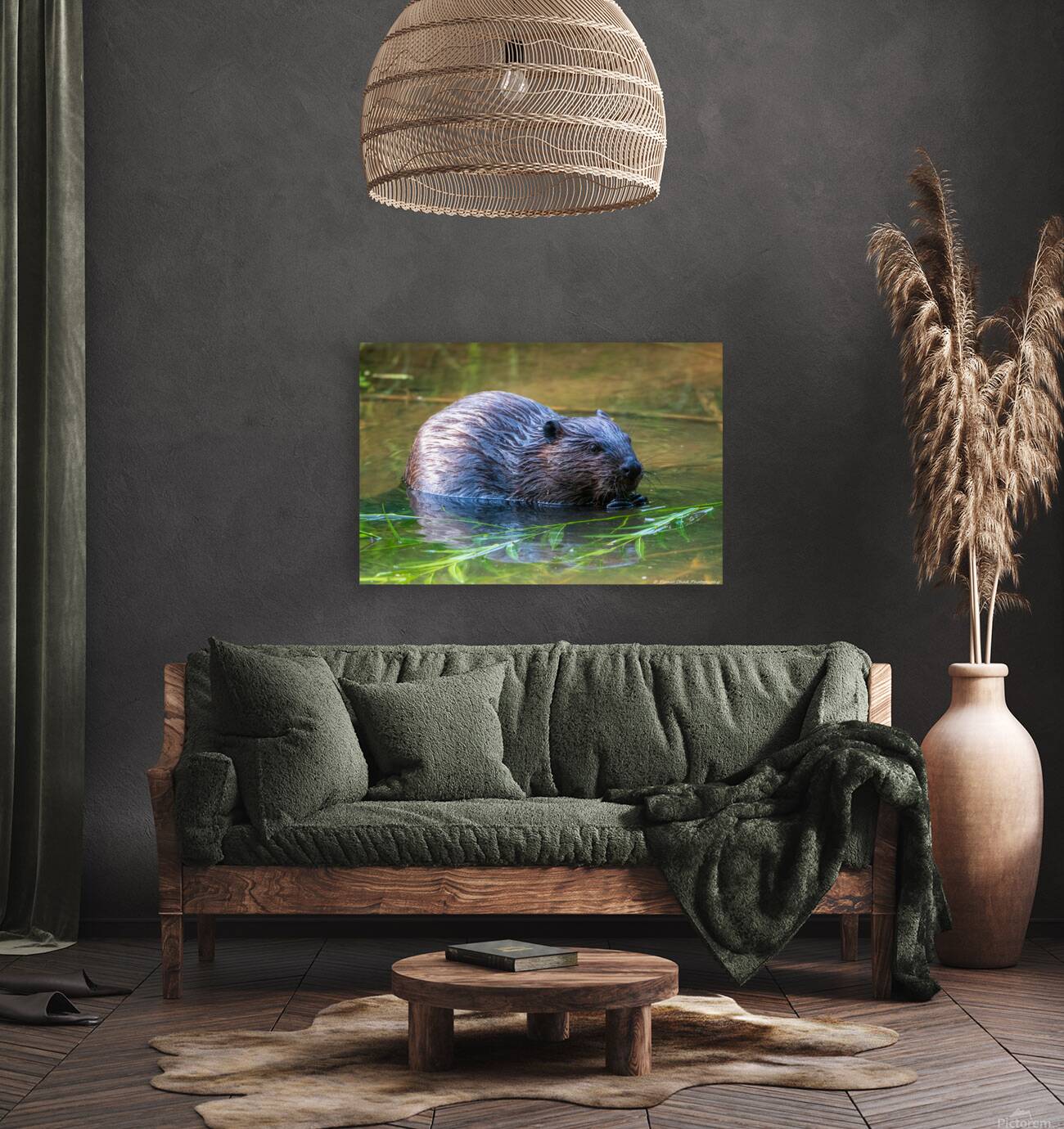 Hungry Beaver Reproduction