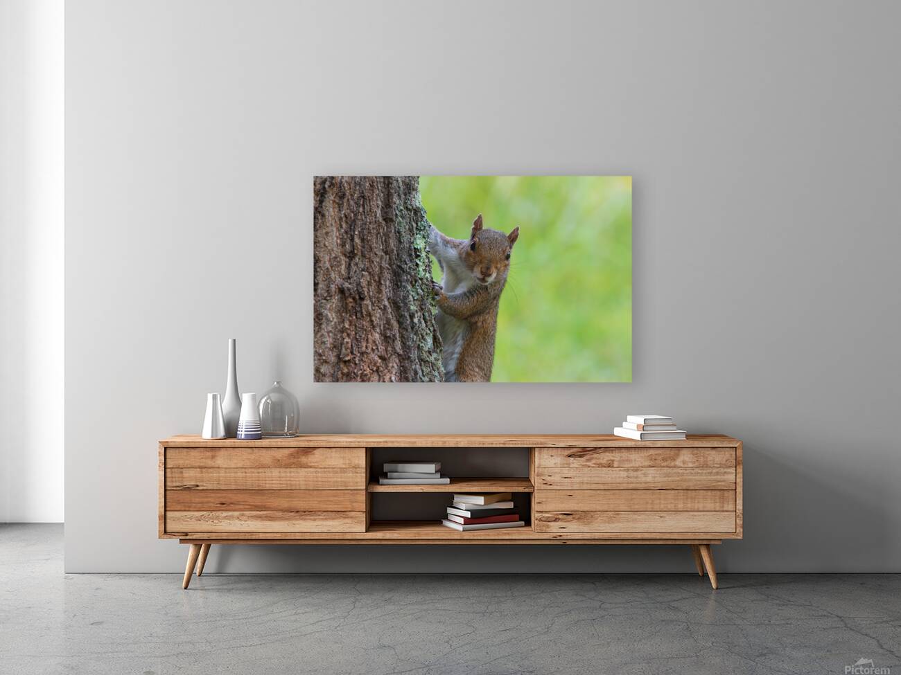 Surprised Squirrel  Reproduction