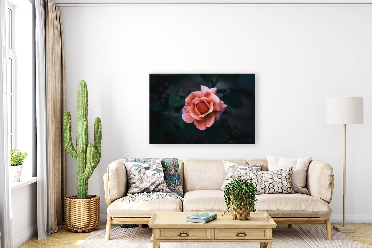 Rose - After Dusk Elegance Reproduction