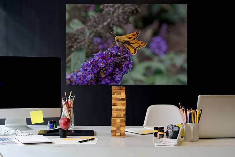 Fiery Skipper - Bloom-Hopper in Bronze by Chad Meyer
