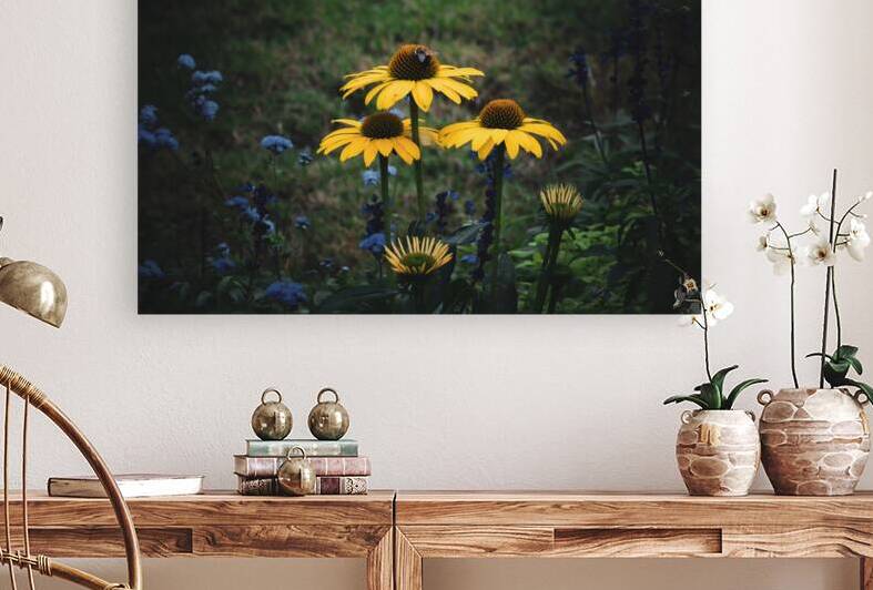 Yellow Coneflower Trio by Chad Meyer