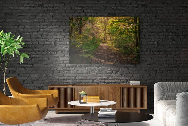 Forest Trail at Long Creek by Chad Meyer