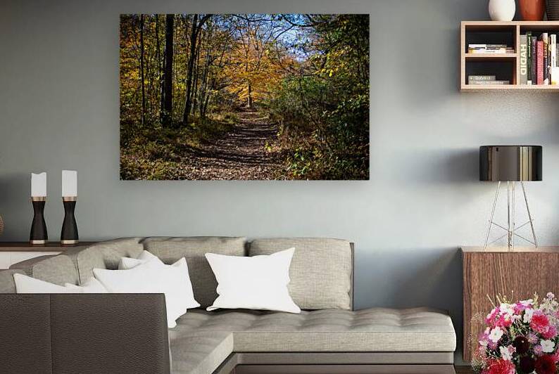 Golden Path at Long Creek by Chad Meyer