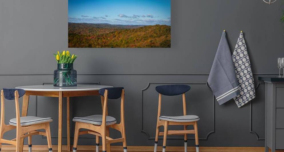 Beautiful Day - Blue Ridge Parkway by Chad Meyer
