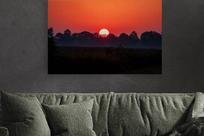 Sunrise at Pungo Reproduction
