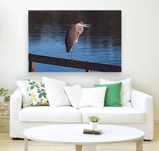 Great Blue Heron - Dusk Patrol by Chad Meyer