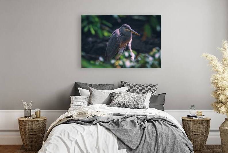 Great Blue Heron - Forest Nap in Dappled Light by Chad Meyer