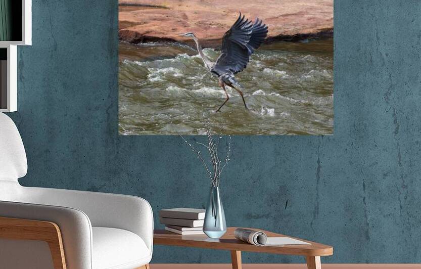 Great Blue Heron - Rhythm of the Rapids by Chad Meyer