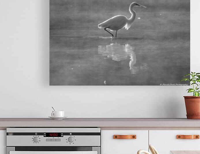 Great Egret - Foggy Morning by Chad Meyer