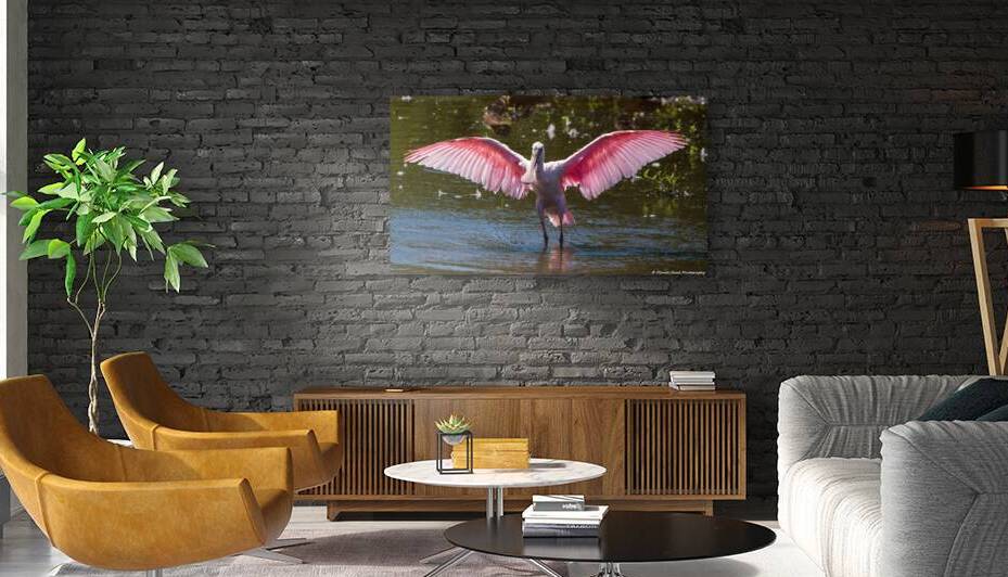 Roseate Spoonbill - I Believe I Can Fly by Chad Meyer