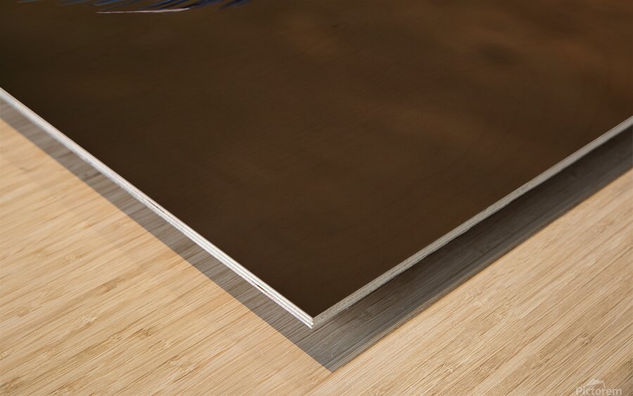 Green Heron - Flushed and Fabulous Impression sur bois