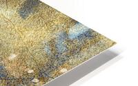 Ragged Island HD Metal print