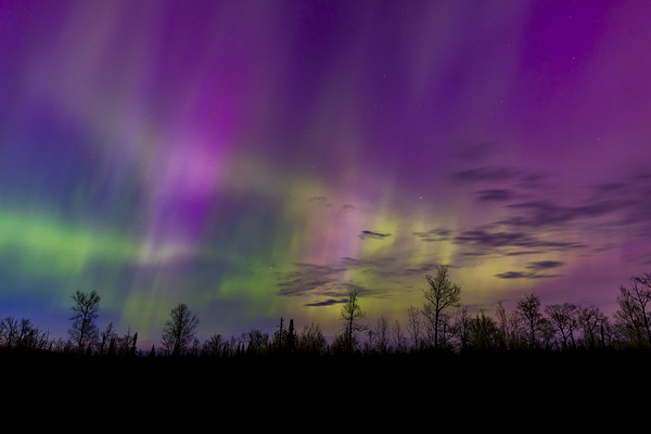 Homestead Aurora | May 2024 Digital Download