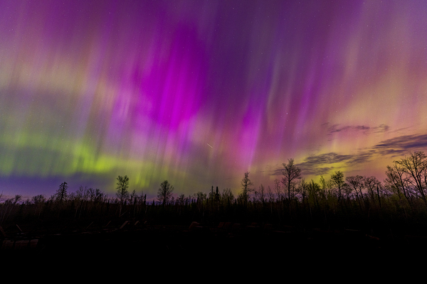 Homestead Aurora | May 2024 Digital Download