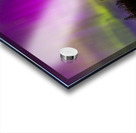 Homestead Aurora | May 2024 Acrylic print