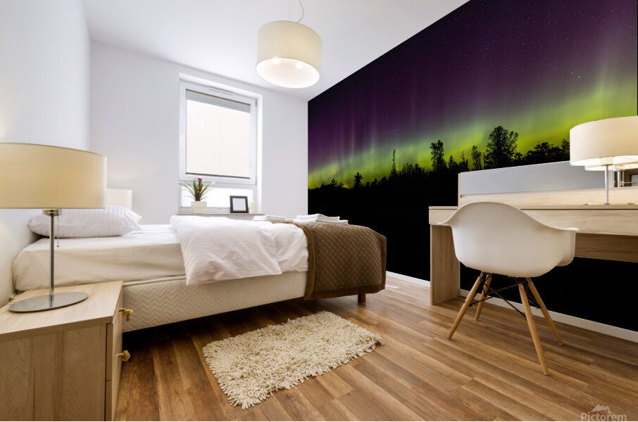 Homestead Aurora Mural print