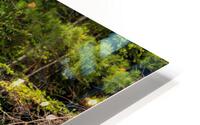 Wading Moose - BWCAW HD Metal print