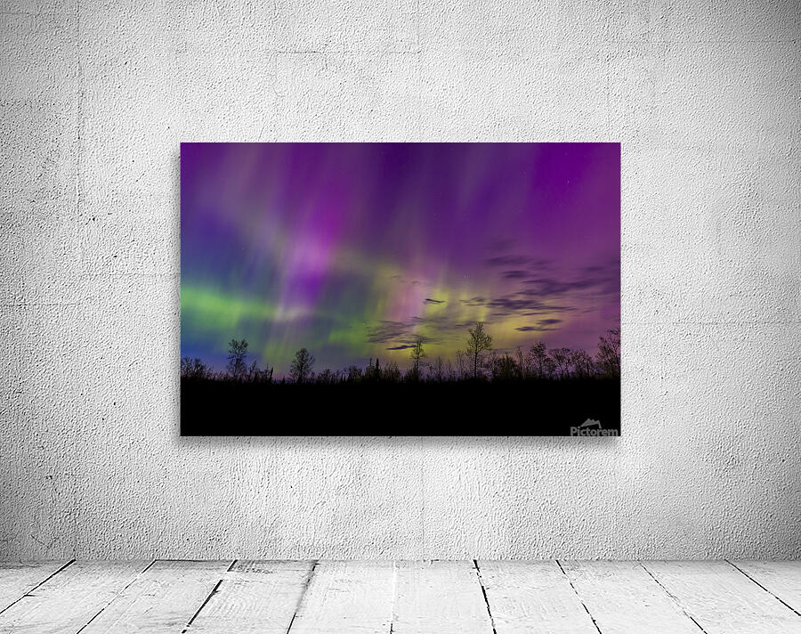 Homestead Aurora | May 2024 Wall Preview