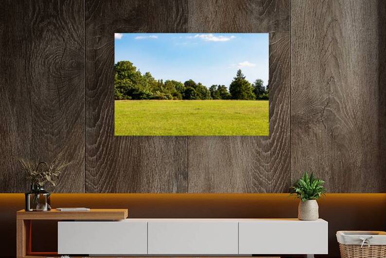 Sunny meadow with vibrant green grass against a backdrop of lush trees under a clear blue sky. by Vasile Jechiu