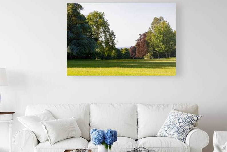 Sunny park landscape with lush green grass and diverse trees on a clear day. by Vasile Jechiu