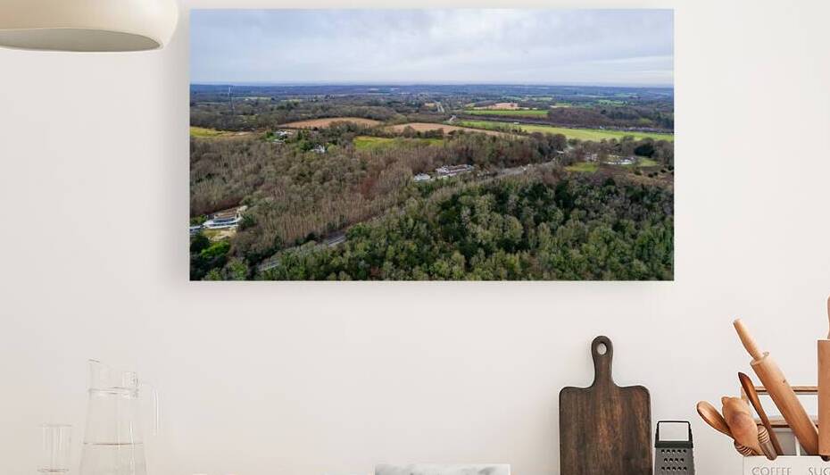 Aerial view of a lush landscape with mixed woodland and open fields under a cloudy sky. by Vasile Jechiu