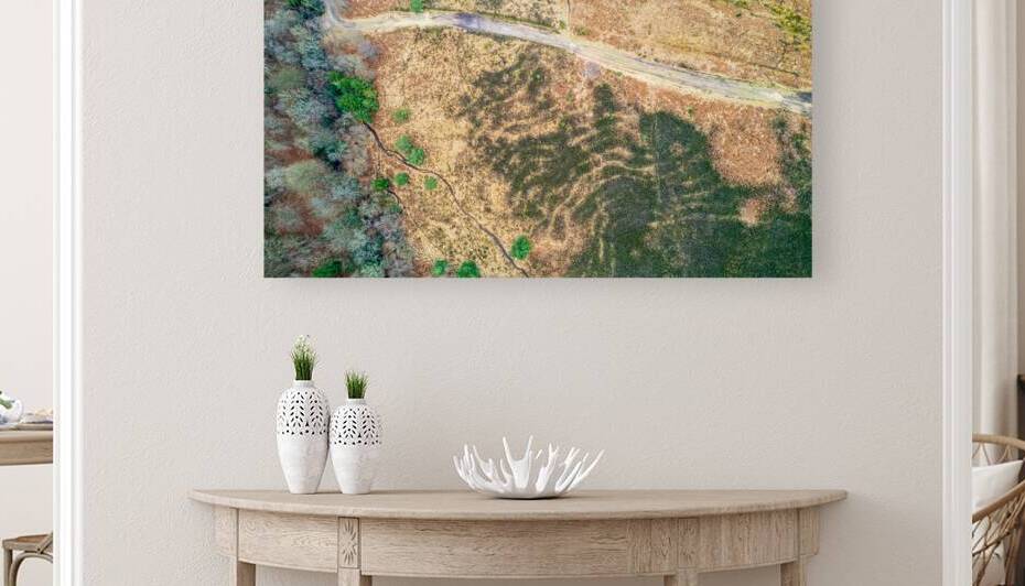 Aerial view of a winding dirt road through a dry rugged landscape with sparse greenery. by Vasile Jechiu