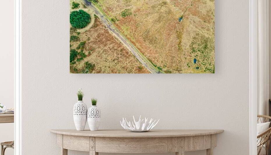 Aerial view of a dry rural landscape with a dirt road and sparse greenery. by Vasile Jechiu